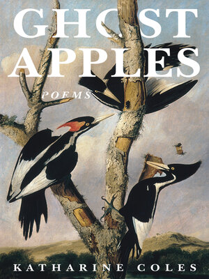 cover image of Ghost Apples